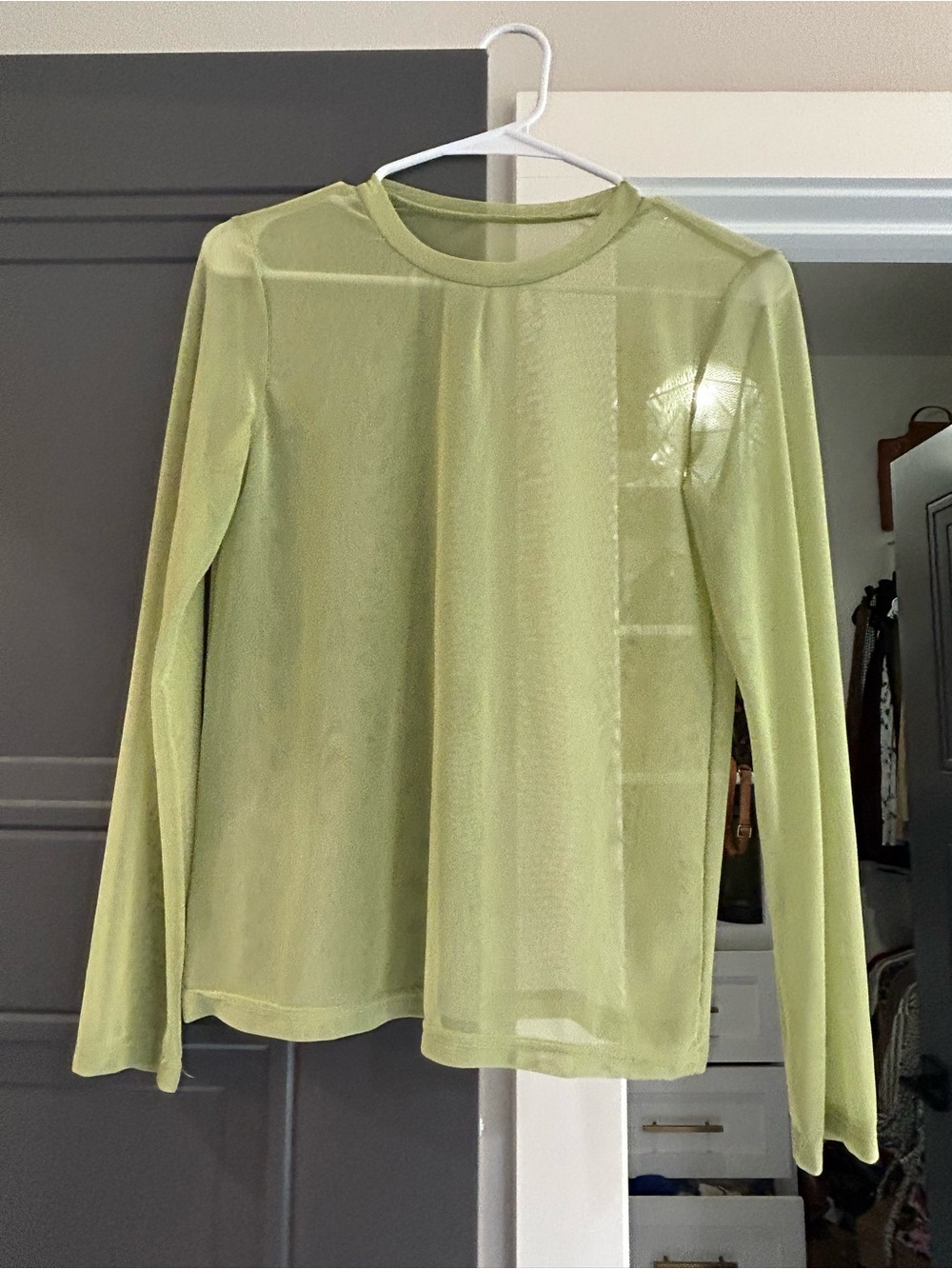 Sheer Long-Sleeve Mesh Top in Light Green